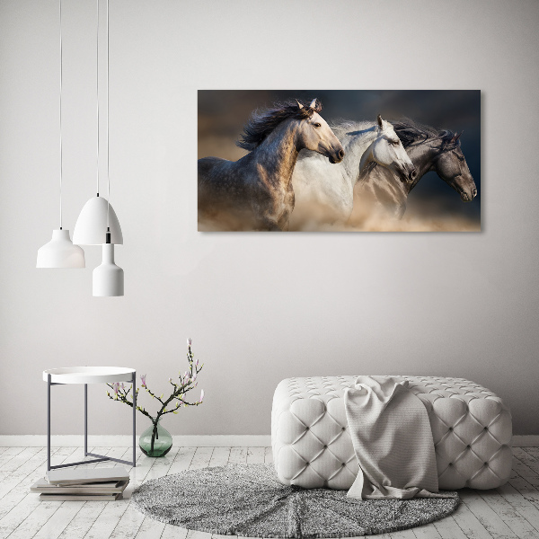 Foto op canvas Paarden in galop