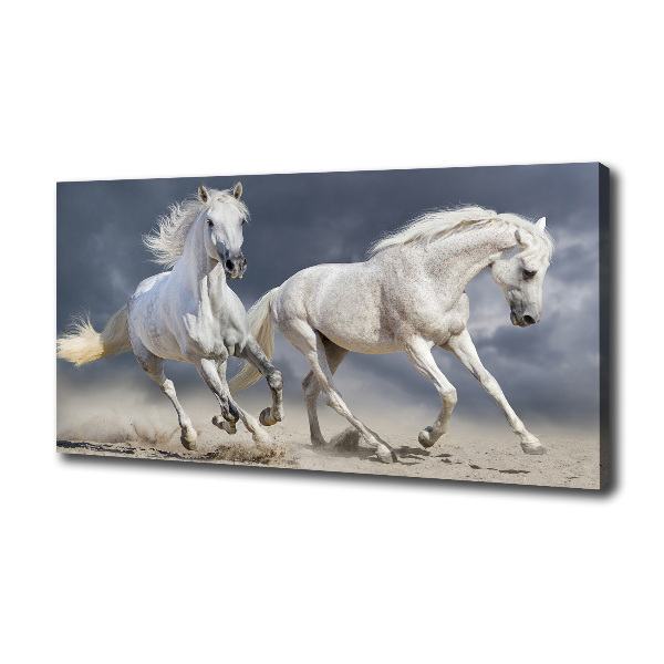 Canvas foto Witte paardenstrand