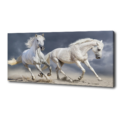 Canvas foto Witte paardenstrand