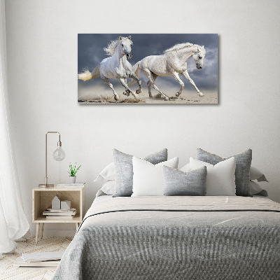 Canvas foto Witte paardenstrand