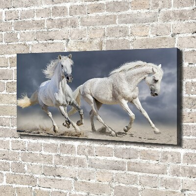Canvas foto Witte paardenstrand