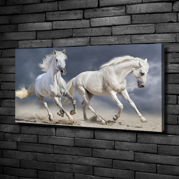 Canvas foto Witte paardenstrand