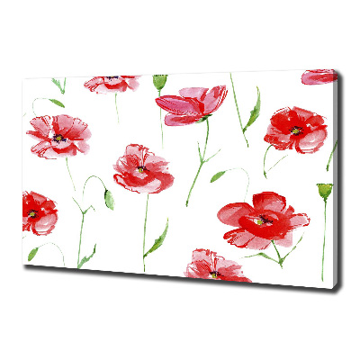 Foto op canvas Klaprozen