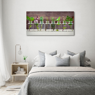 Canvas schilderij Planten in potten