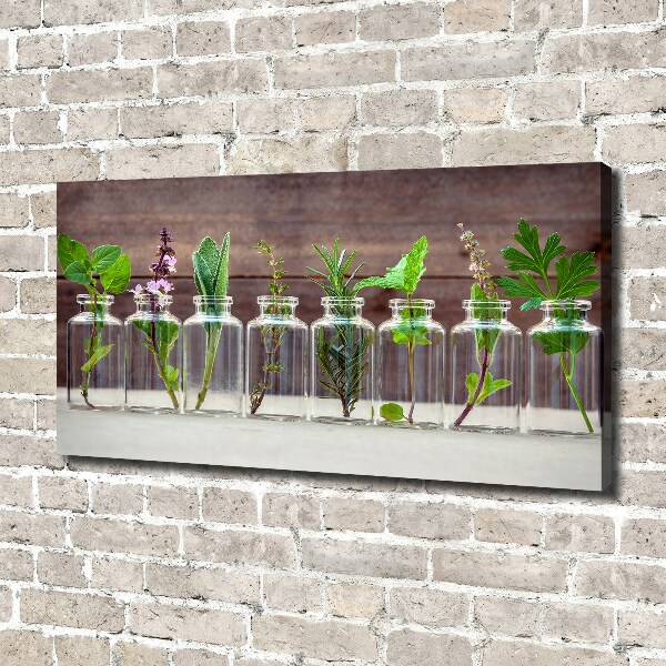 Canvas schilderij Planten in potten