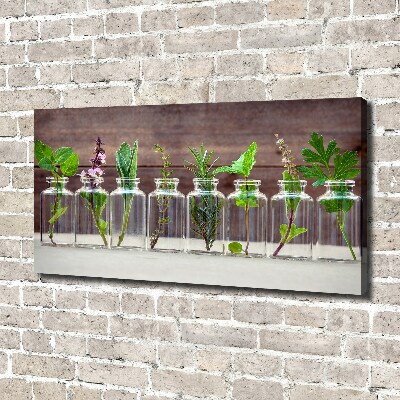 Canvas schilderij Planten in potten