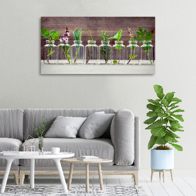 Canvas schilderij Planten in potten