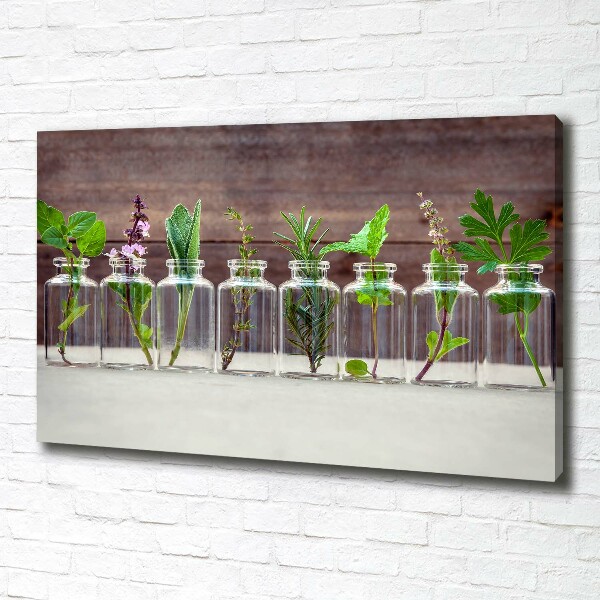 Canvas schilderij Planten in potten