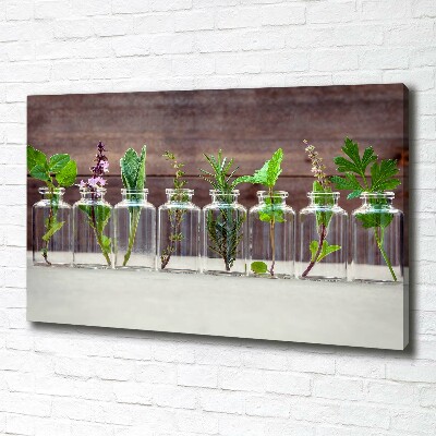 Canvas schilderij Planten in potten