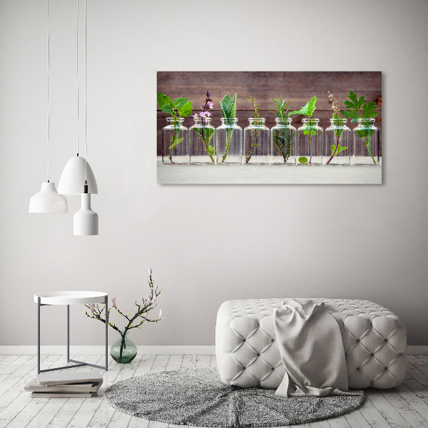 Canvas schilderij Planten in potten