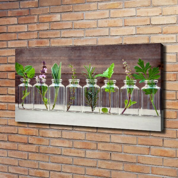 Canvas schilderij Planten in potten
