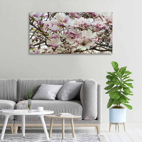 Schilderij op canvas Magnolia bloemen