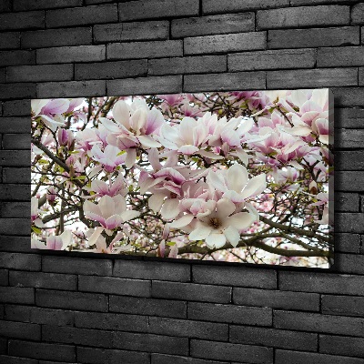 Schilderij op canvas Magnolia bloemen