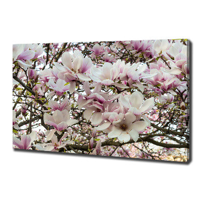 Schilderij op canvas Magnolia bloemen