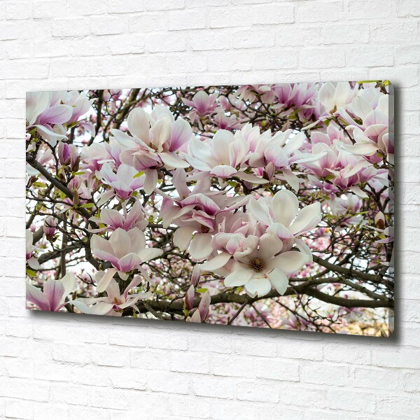 Schilderij op canvas Magnolia bloemen