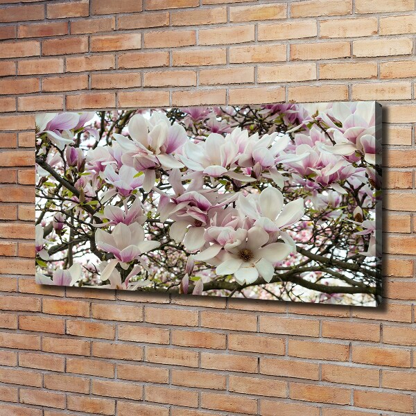 Schilderij op canvas Magnolia bloemen