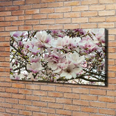 Schilderij op canvas Magnolia bloemen