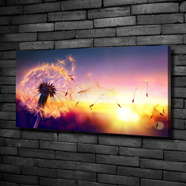 Foto canvas Paardebloem