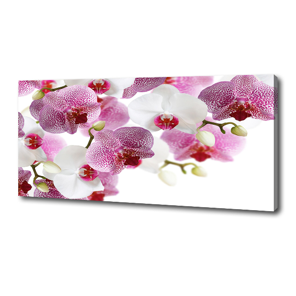 Foto op canvas Orchidee