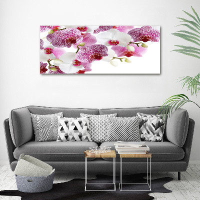 Foto op canvas Orchidee