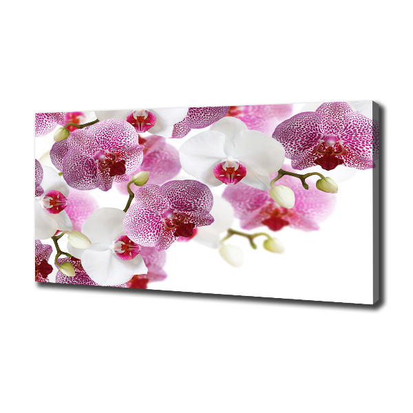 Foto op canvas Orchidee