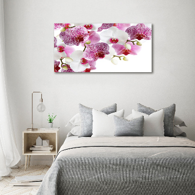 Foto op canvas Orchidee