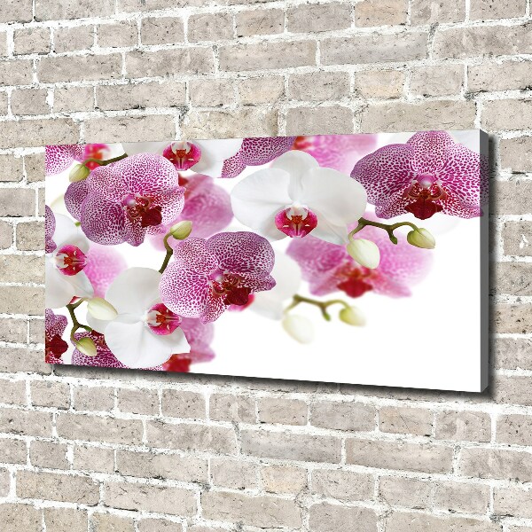 Foto op canvas Orchidee