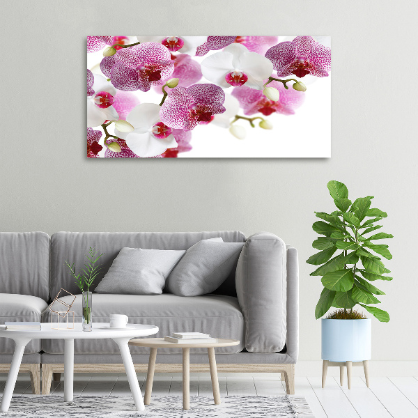 Foto op canvas Orchidee