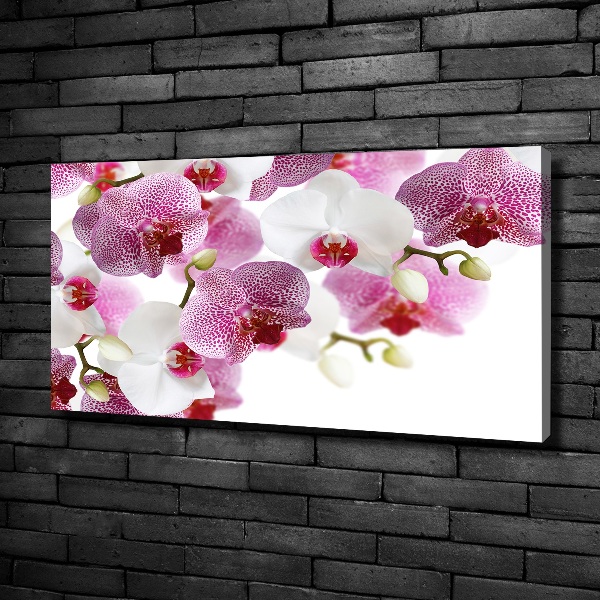 Foto op canvas Orchidee