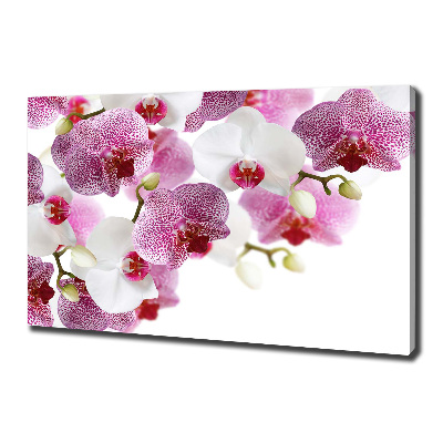 Foto op canvas Orchidee