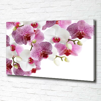 Foto op canvas Orchidee