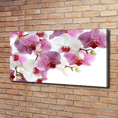 Foto op canvas Orchidee