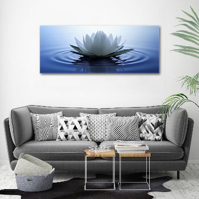 Canvas foto Waterlelie