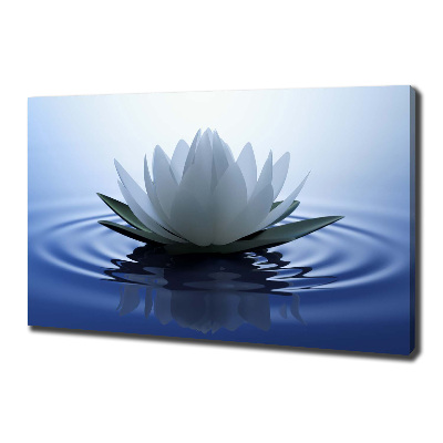 Canvas foto Waterlelie