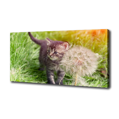 Schilderij op canvas Kitten met een paardenbloem