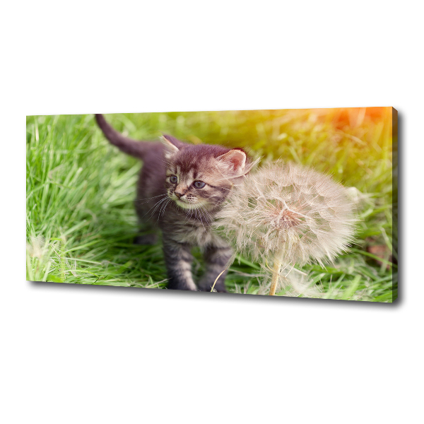 Schilderij op canvas Kitten met een paardenbloem