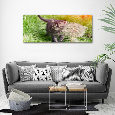 Schilderij op canvas Kitten met een paardenbloem