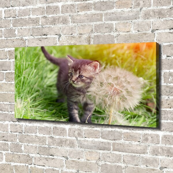 Schilderij op canvas Kitten met een paardenbloem