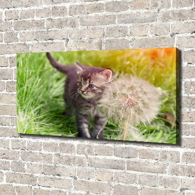 Schilderij op canvas Kitten met een paardenbloem