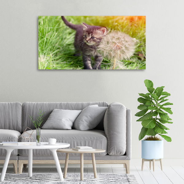 Schilderij op canvas Kitten met een paardenbloem