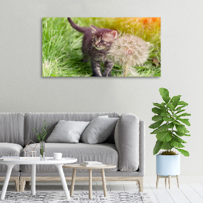 Schilderij op canvas Kitten met een paardenbloem