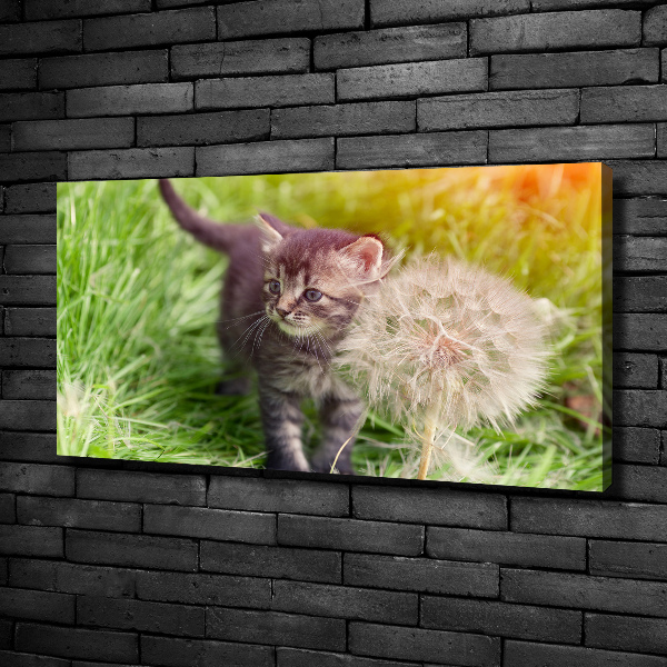 Schilderij op canvas Kitten met een paardenbloem