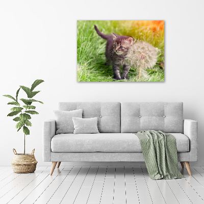 Schilderij op canvas Kitten met een paardenbloem