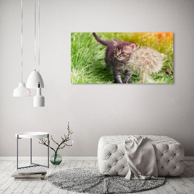 Schilderij op canvas Kitten met een paardenbloem