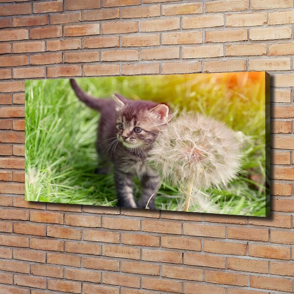 Schilderij op canvas Kitten met een paardenbloem