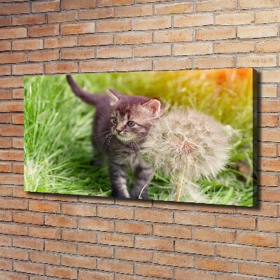 Schilderij op canvas Kitten met een paardenbloem