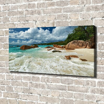 Canvas foto Strand op de Seychellen