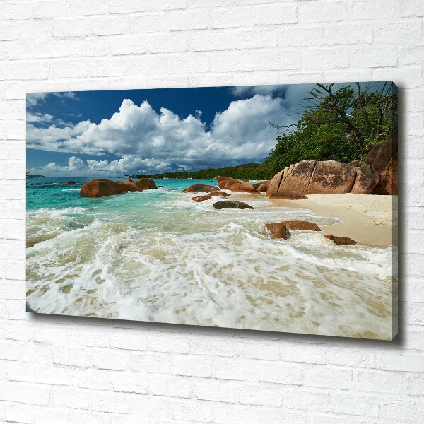 Canvas foto Strand op de Seychellen