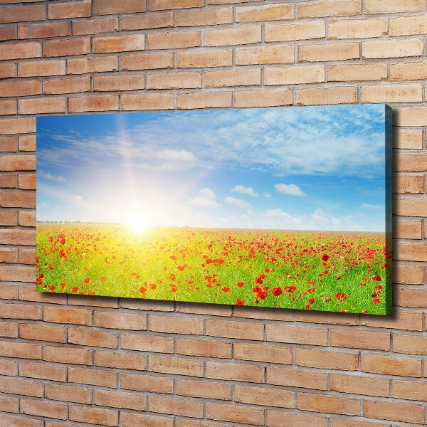 Canvas schilderij Klaprozenveld