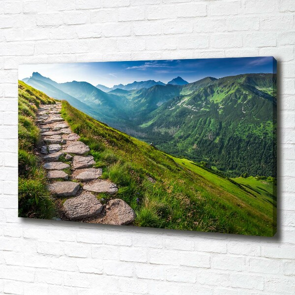 Foto canvas Wandelpad in het Tatragebergte